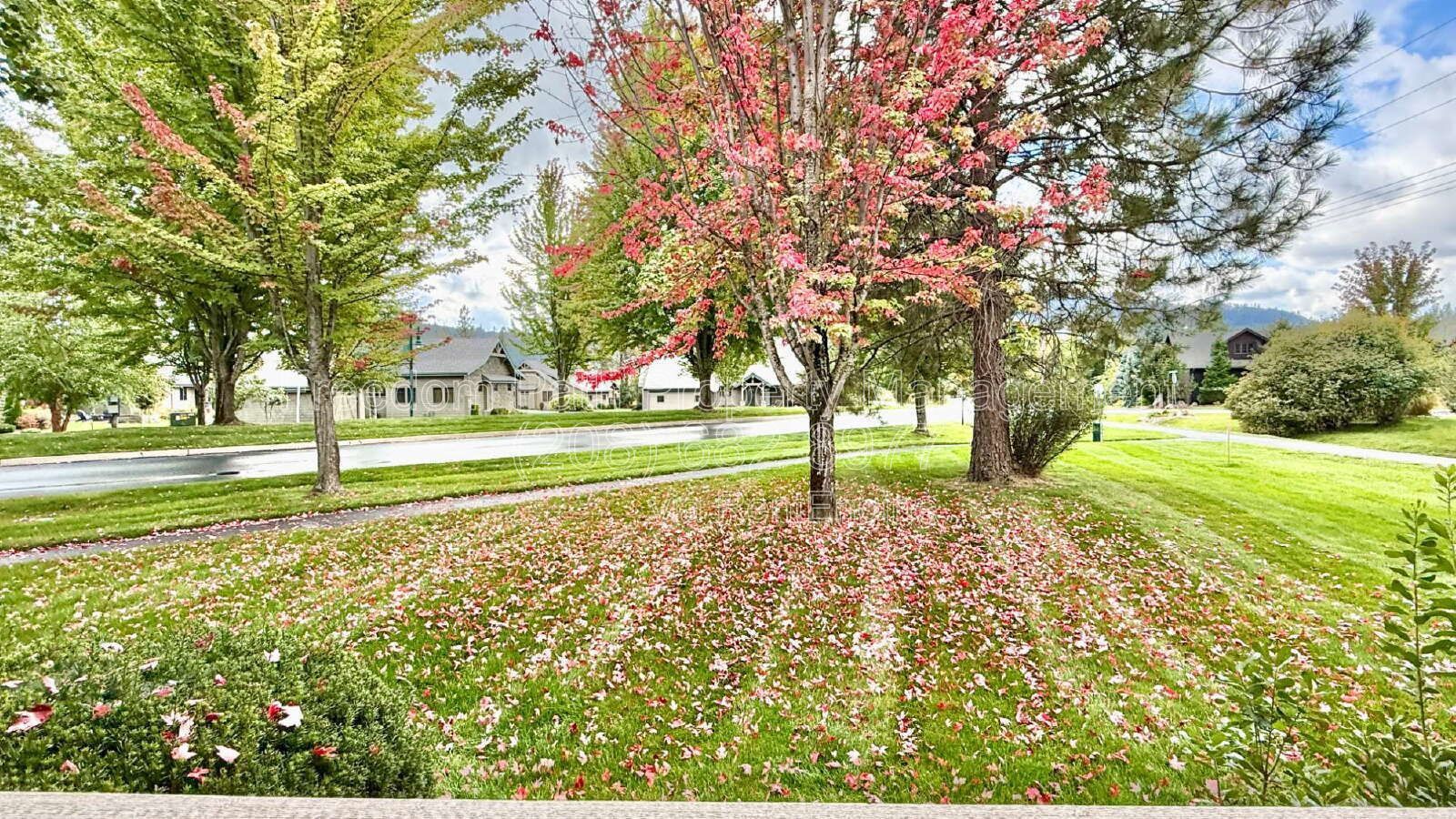 Furnished Dover Bay Home | 3 BR + Loft & Office with Resort Amenities property image